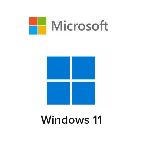 win11